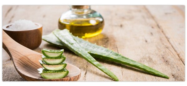 Kép - Aloe vera (120x50 cm)