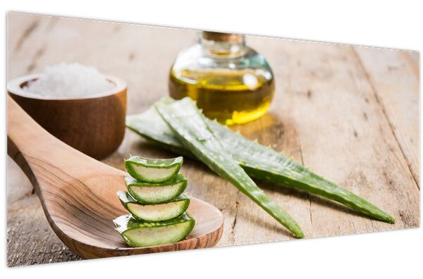 Kép - Aloe vera (120x50 cm)