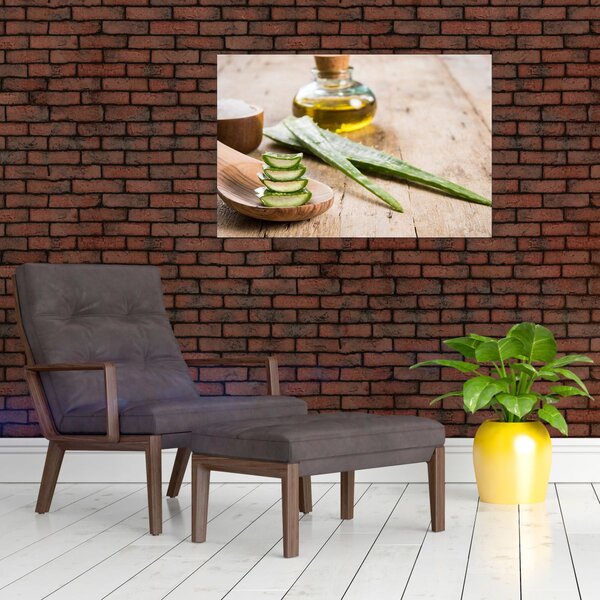 Kép - Aloe vera (90x60 cm)