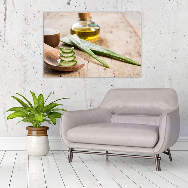 Kép - Aloe vera (90x60 cm)