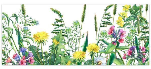 Kép - Festett réti virágok (120x50 cm)