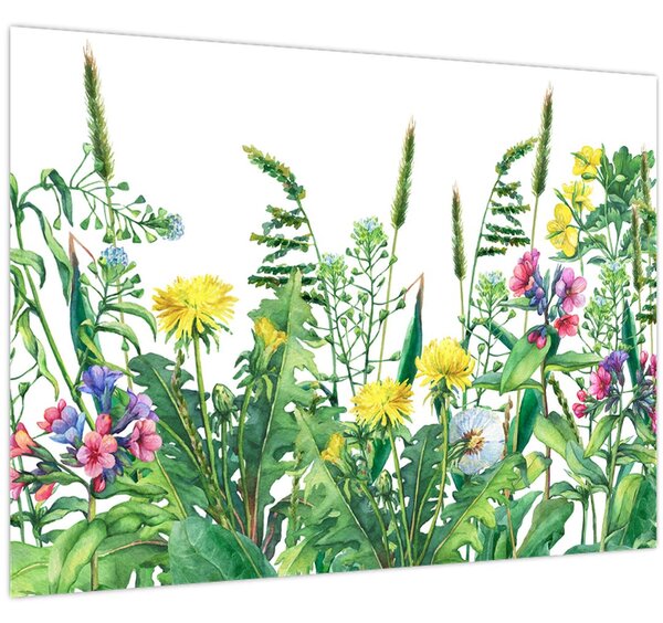 Kép - Festett réti virágok (70x50 cm)