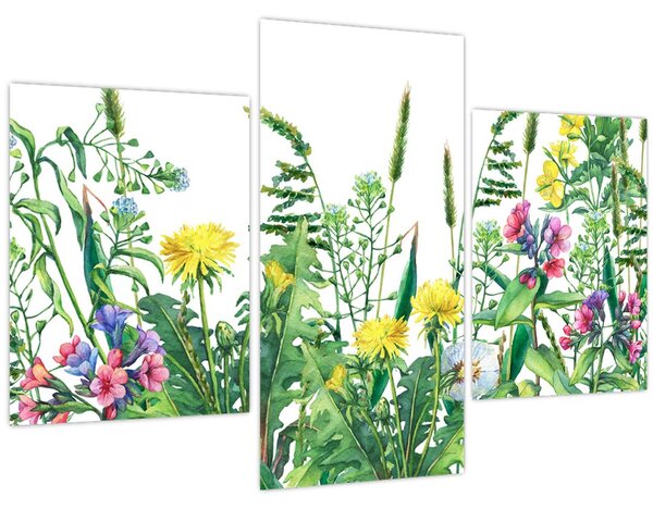 Kép - Festett réti virágok (90x60 cm)