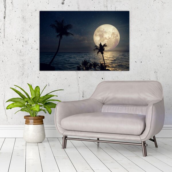 Kép - Strand teliholddal (90x60 cm)