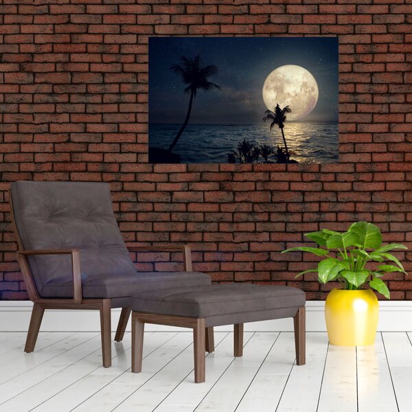 Kép - Strand teliholddal (90x60 cm)