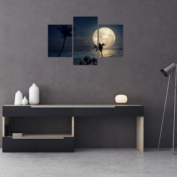 Kép - Strand teliholddal (90x60 cm)