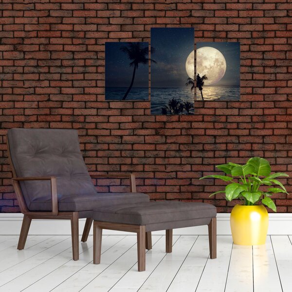 Kép - Strand teliholddal (90x60 cm)