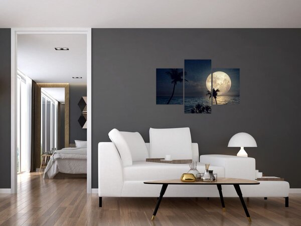 Kép - Strand teliholddal (90x60 cm)