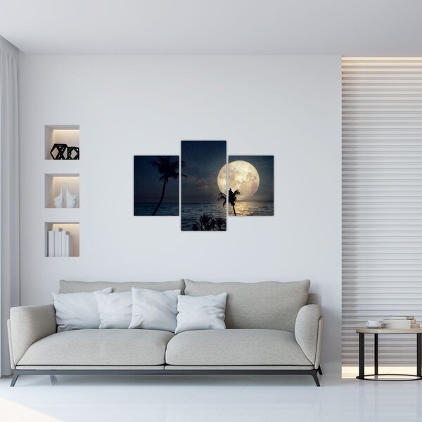 Kép - Strand teliholddal (90x60 cm)
