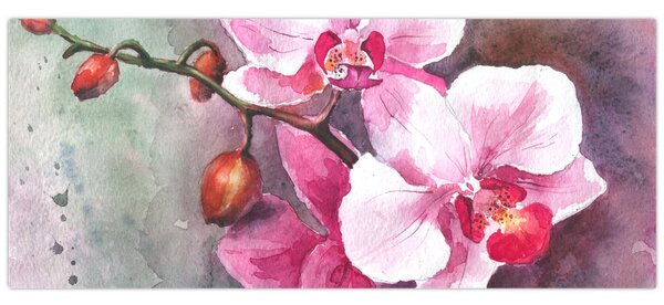 Kép - Orchideák, akvarell (120x50 cm)