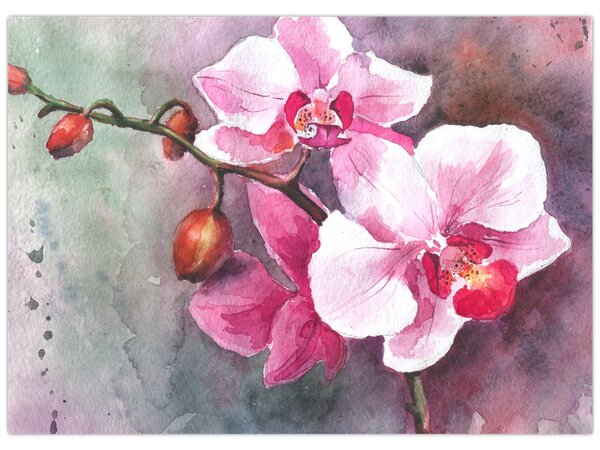 Kép - Orchideák, akvarell (70x50 cm)