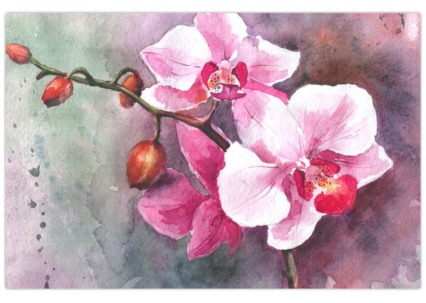 Kép - Orchideák, akvarell (90x60 cm)
