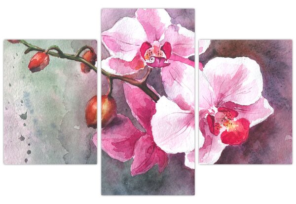 Kép - Orchideák, akvarell (90x60 cm)