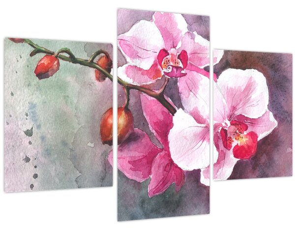 Kép - Orchideák, akvarell (90x60 cm)