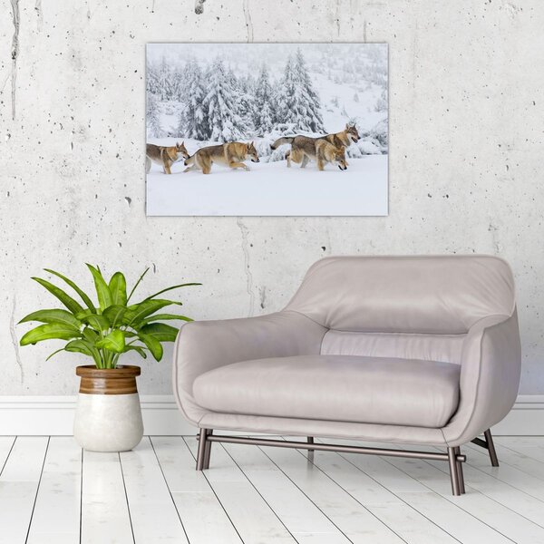 Üveg kép - Farkasok a hegyekben (70x50 cm)