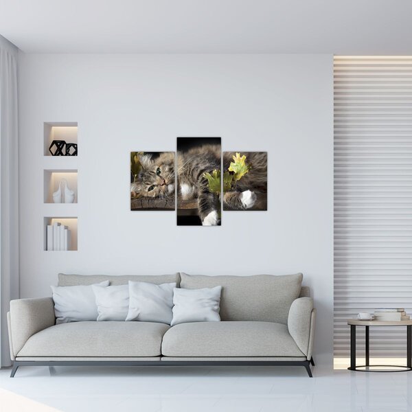 Kép - Hazudós macska (90x60 cm)
