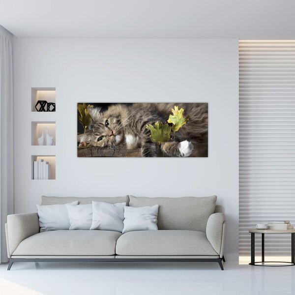 Kép - Hazudós macska (120x50 cm)