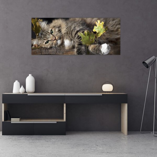 Kép - Hazudós macska (120x50 cm)