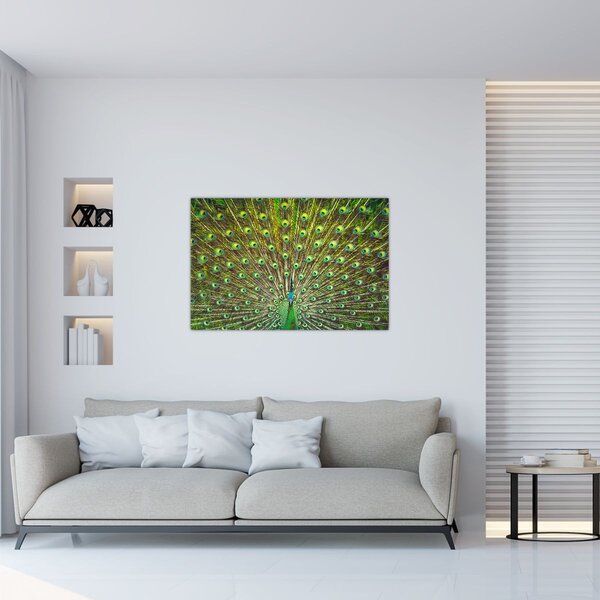 Kép - Páva (90x60 cm)