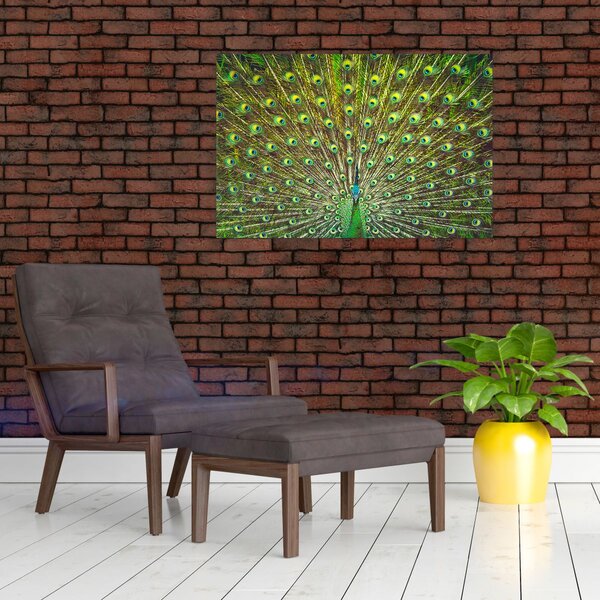 Kép - Páva (90x60 cm)