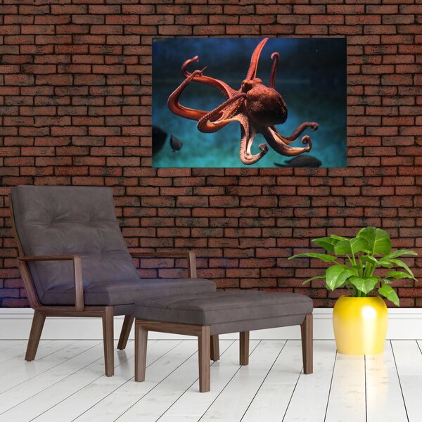 Kép - Octopus (90x60 cm)