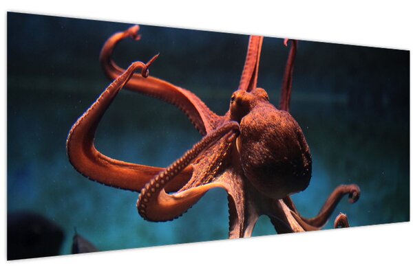 Kép - Octopus (120x50 cm)