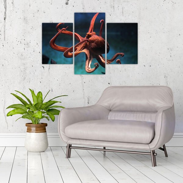 Kép - Octopus (90x60 cm)