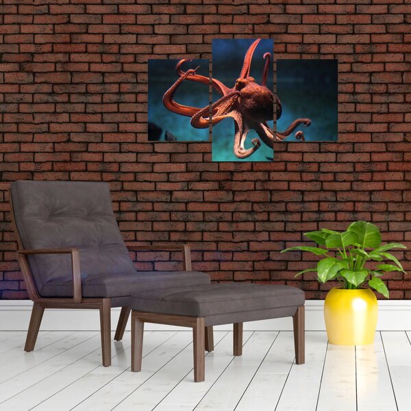 Kép - Octopus (90x60 cm)