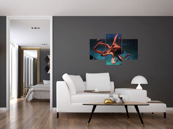 Kép - Octopus (90x60 cm)