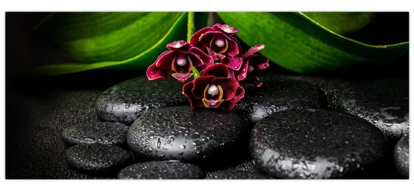 Kép - Lávakövek (120x50 cm)
