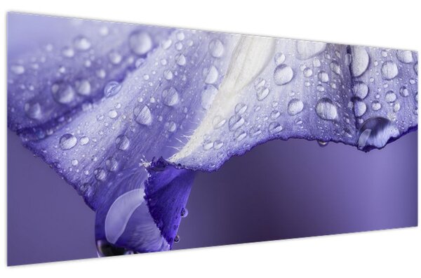 Kép - Szirom cseppekkel (120x50 cm)