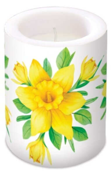 Átvilágítós gyertya 10x12cm - Daffodils in Bloom