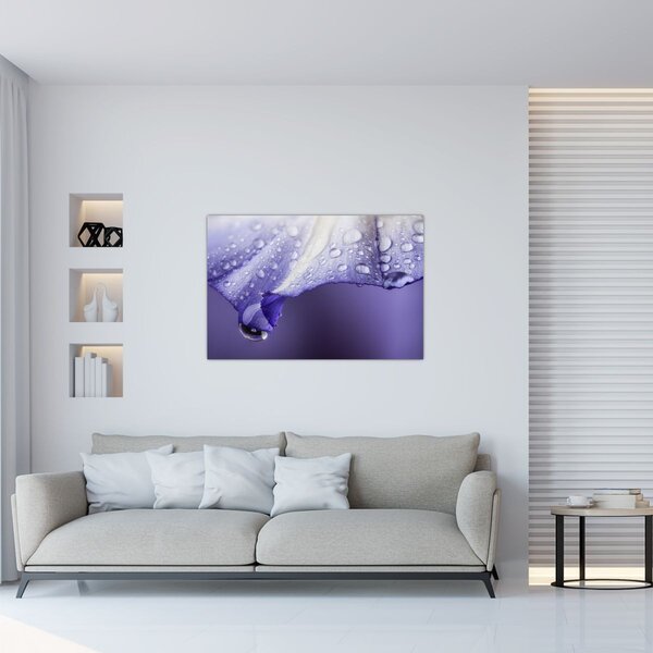 Kép - Szirom cseppekkel (90x60 cm)