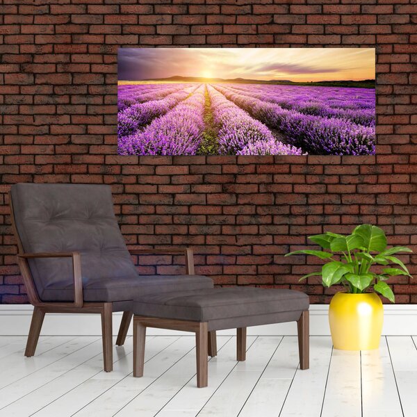 Kép - Napfelkelte levendulamezőn (120x50 cm)