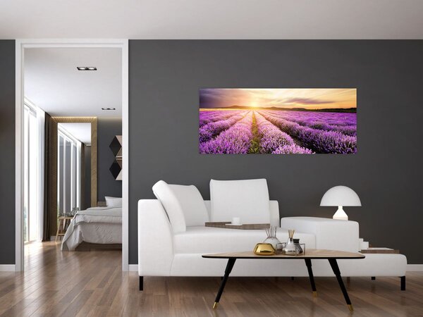 Kép - Napfelkelte levendulamezőn (120x50 cm)