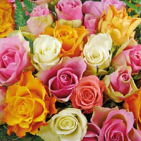 Colourful Roses papírszalvéta 33x33cm, 20db-os