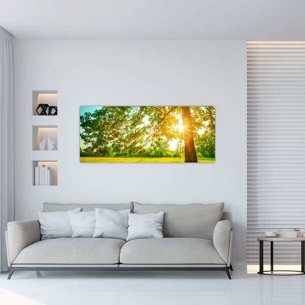 Kép - Sunny Forest (120x50 cm)