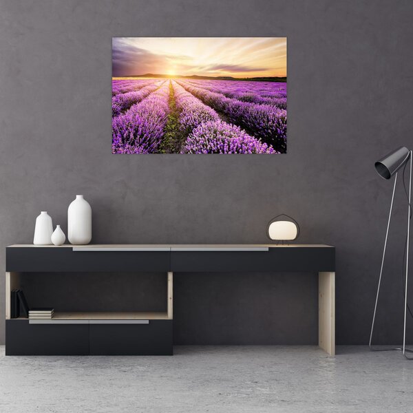 Kép - Napfelkelte levendulamezőn (90x60 cm)