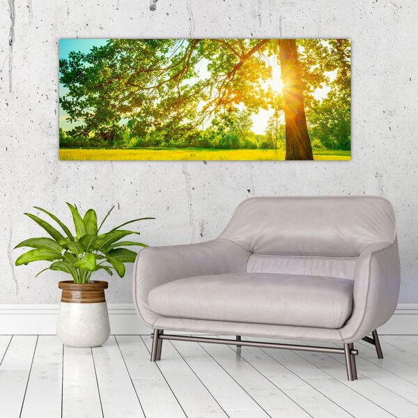 Kép - Sunny Forest (120x50 cm)