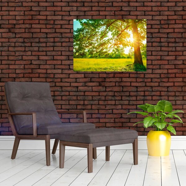Kép - Sunny Forest (70x50 cm)