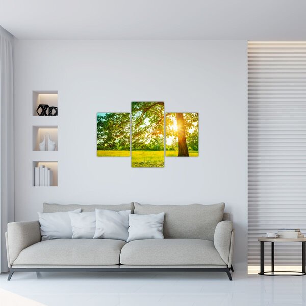 Kép - Sunny Forest (90x60 cm)