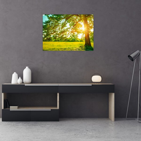 Kép - Sunny Forest (70x50 cm)