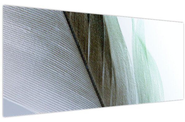 Kép - Tollak, makro (120x50 cm)