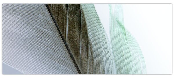Kép - Tollak, makro (120x50 cm)