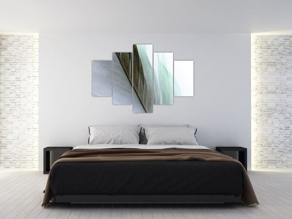 Kép - Tollak, makro (150x105 cm)