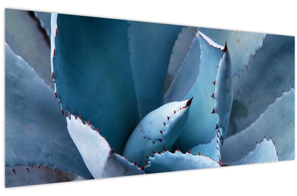 Kép - Agave (120x50 cm)