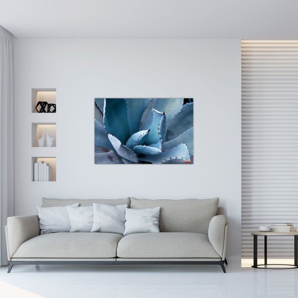 Kép - Agave (90x60 cm)