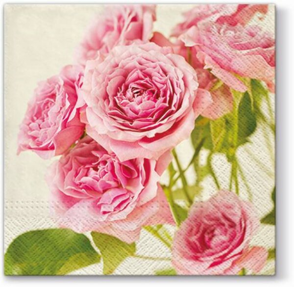 Pink Roses papírszalvéta 33x33cm, 20db-os