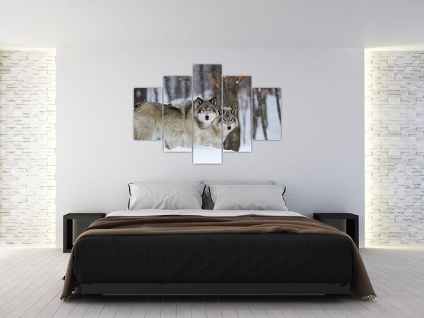 Kép - Farkasok télen (150x105 cm)