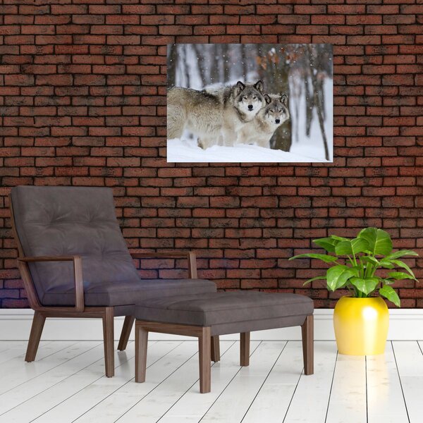 Kép - Farkasok télen (70x50 cm)